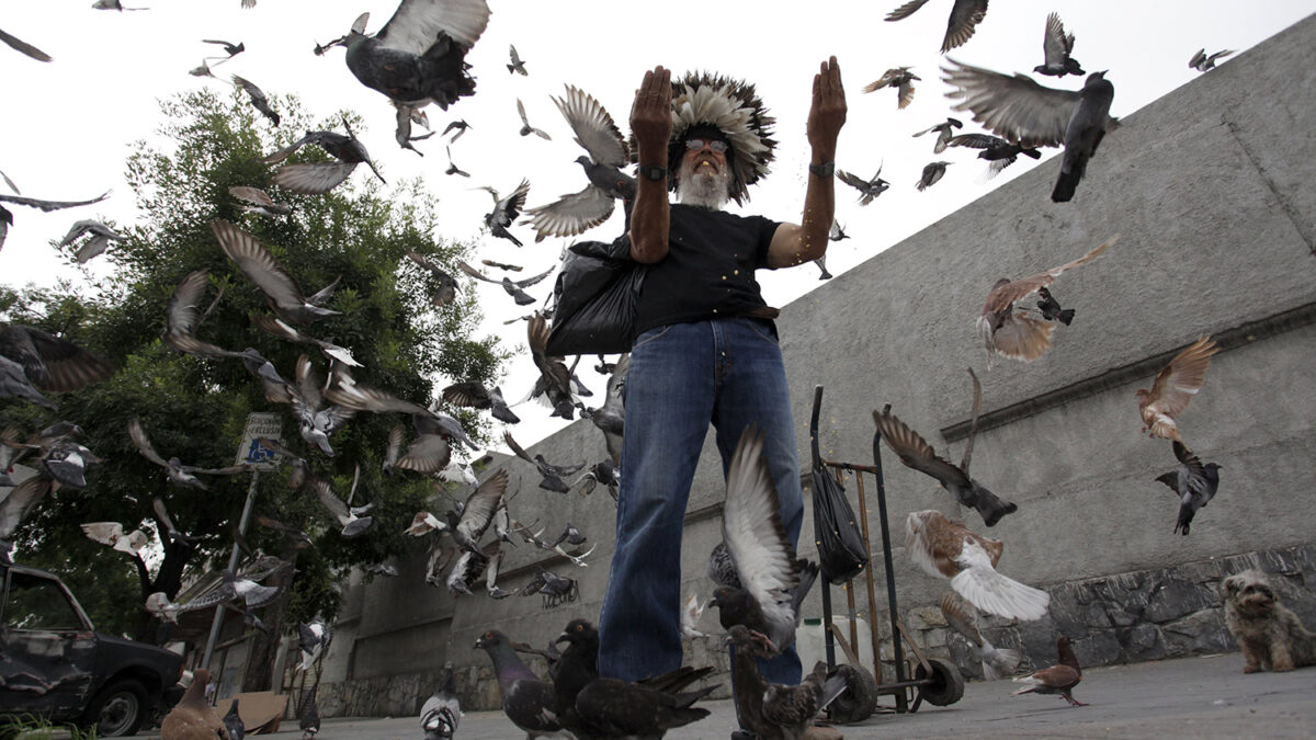 Alimentar a las palomas es como rezar