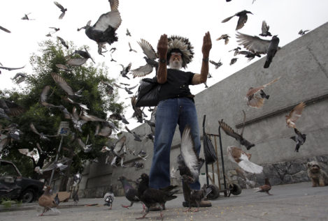 Alimentar a las palomas es como rezar