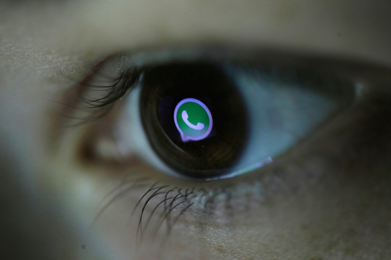 37 nuevos emoticonos llegarán próximamente a tu Whatsapp