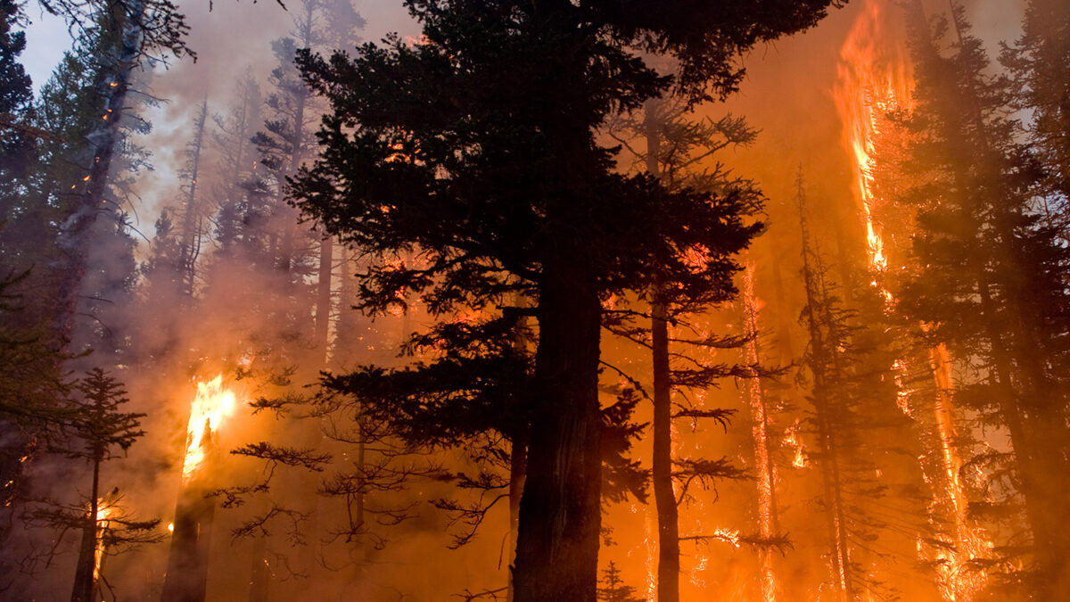 El mayor incendio forestal de la historia de Washington podría arder hasta las nieves