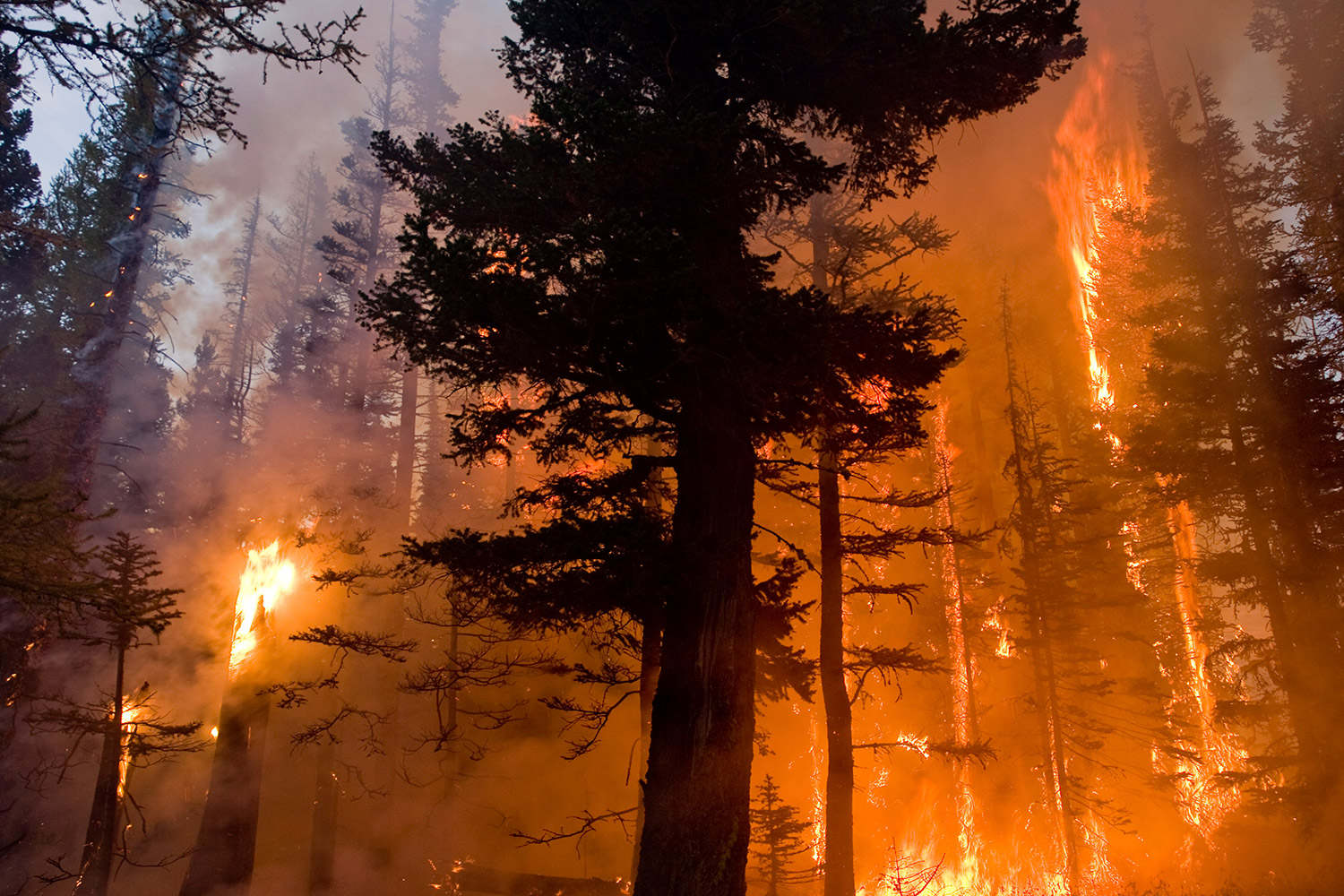 El mayor incendio forestal de la historia de Washington podría arder hasta las nieves