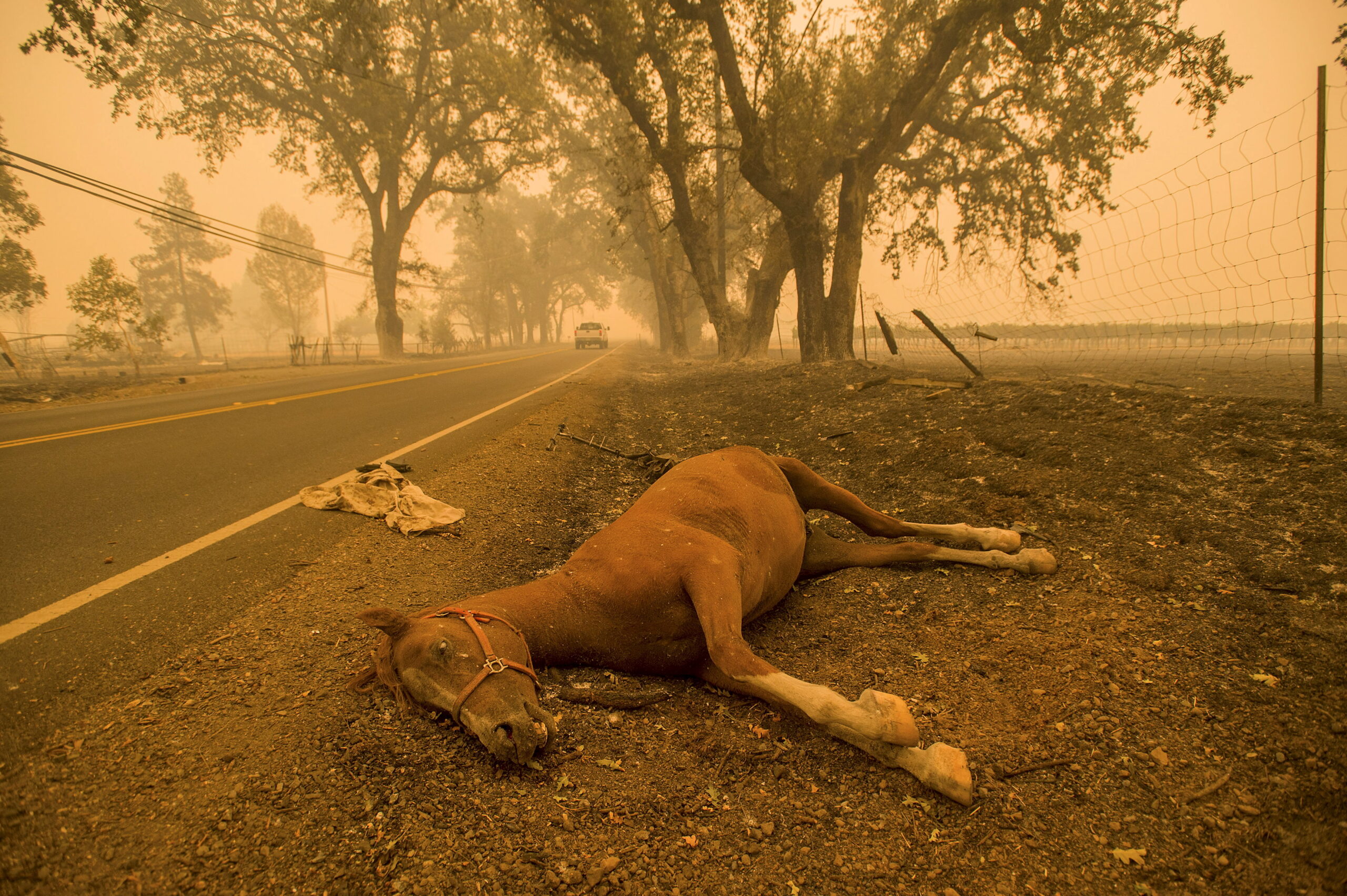 El humo tras los incendios de California amenaza al corazón de los ciudadanos