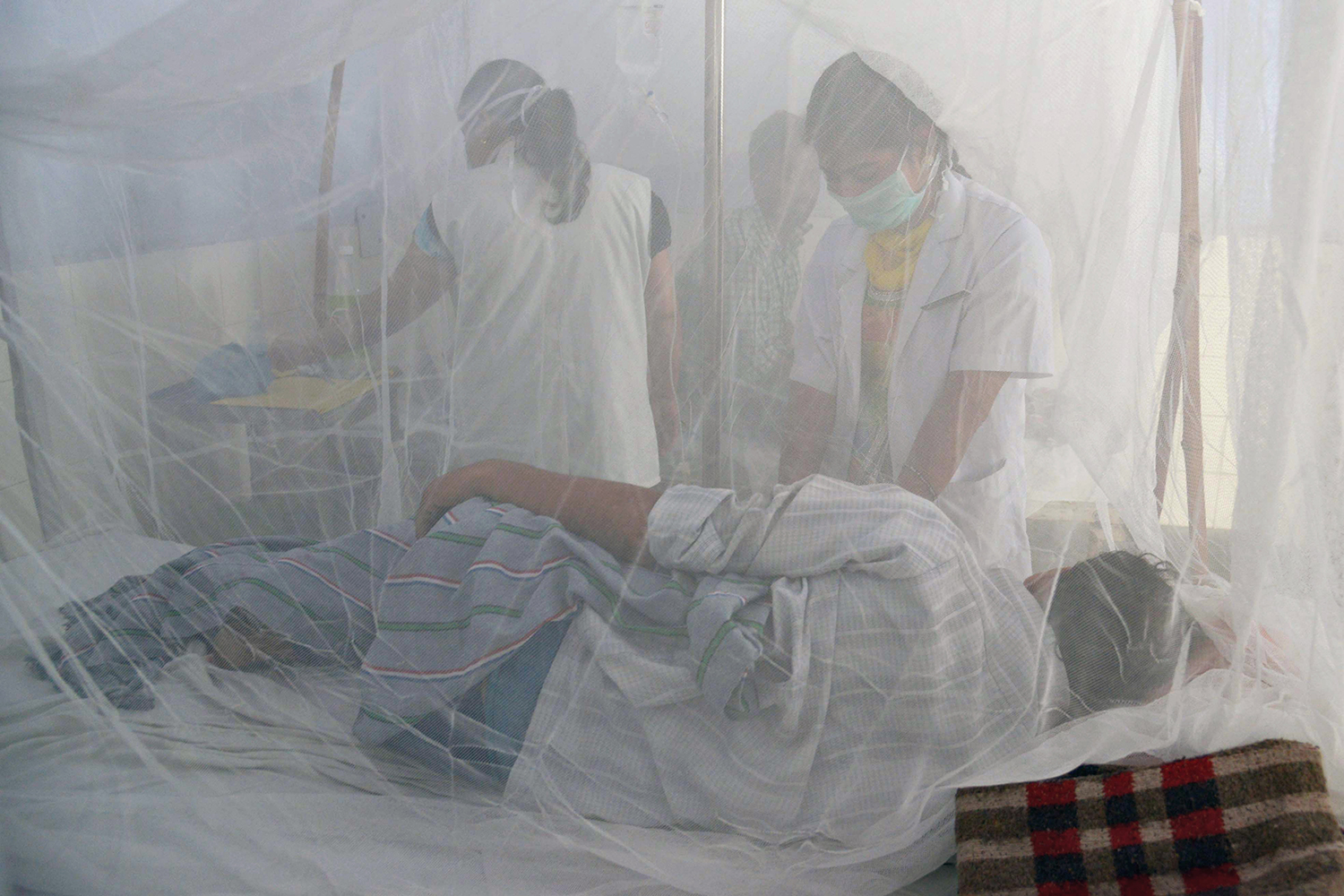 Nueva Deli registra una explosión de dengue: 12 muertos y 1900 casos en una semana