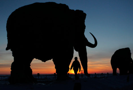 Científicos de Rusia devolverán a la vida a mamíferos extinguidos hace miles de años