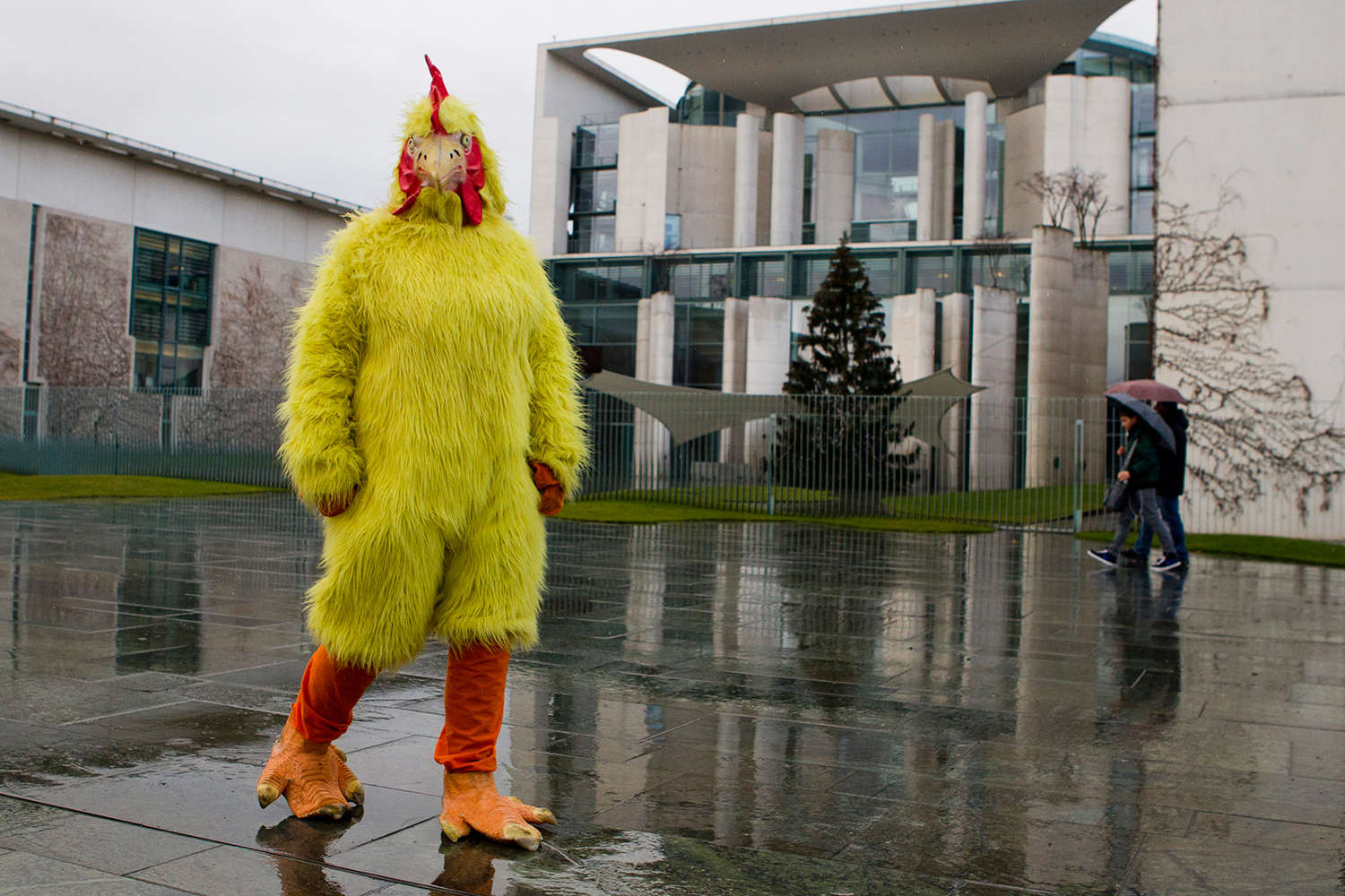 Disfrazarse de pollo o caminar 45 km, son los originales castigos creativos de un juez de EEUU