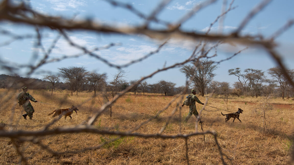 Unos 500 presos se fugan de una prisión centroafricana