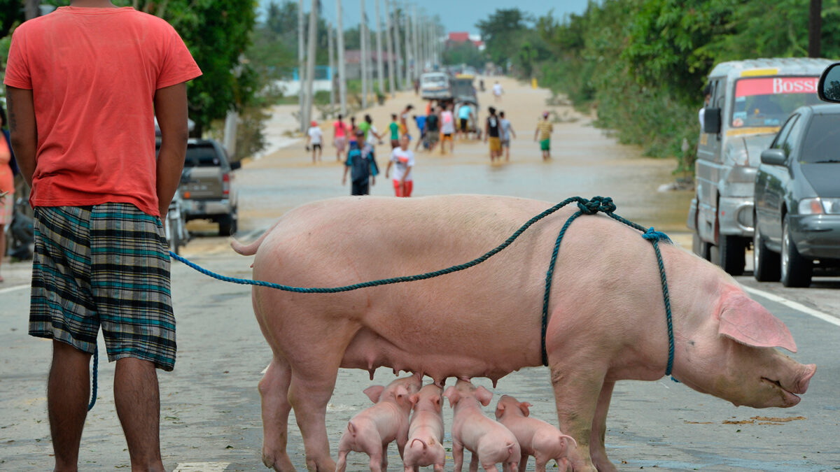 El tifón Koppu azota lentamente el norte de Filipinas