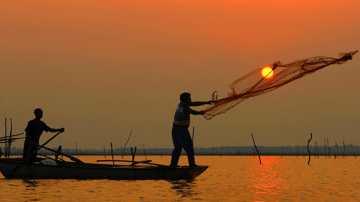 Los científicos advierten que comemos plástico y fibras en el pescado