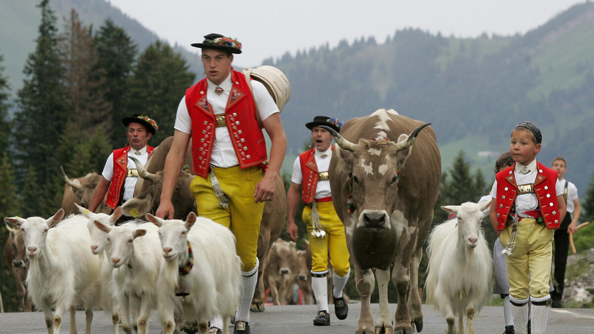 Una epidemia entre las cabras montesas de los Alpes podría acabar con el fondue de queso de Saboya