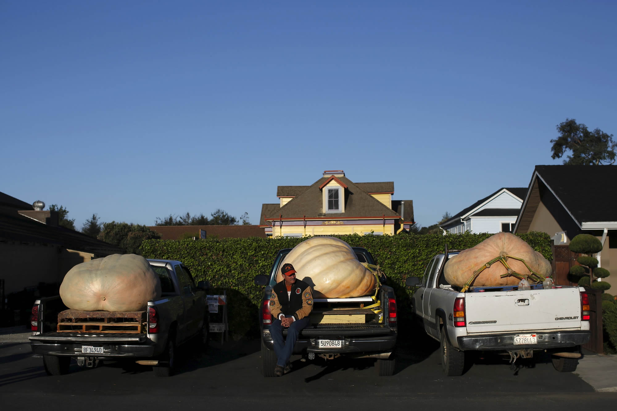 Las calabazas más grandes del mundo se citan en California