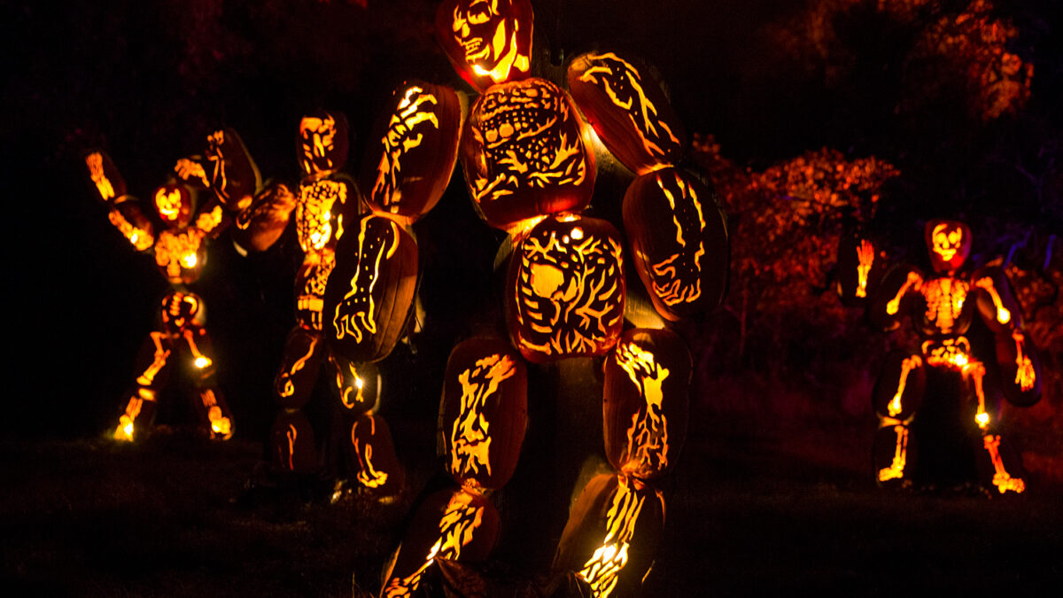 7,000 hand-carved pumpkins light the Van Cortlandt Manor Museum