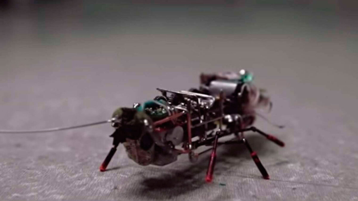 Rusos inventan una cucaracha robot ideal para misiones secretas