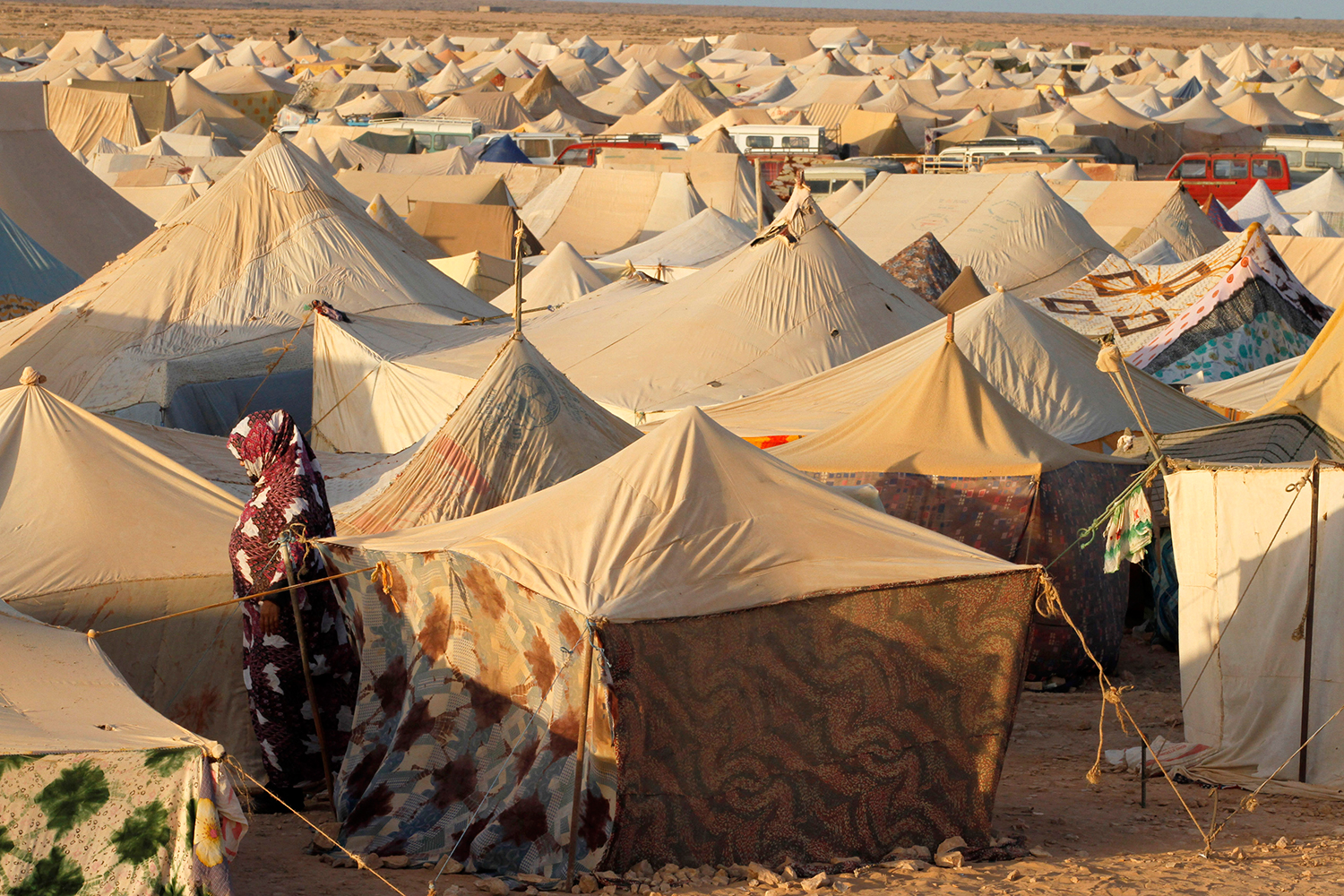 Las lluvias torrenciales destruyen 3.000 hogares en los campamentos de refugiados saharauis