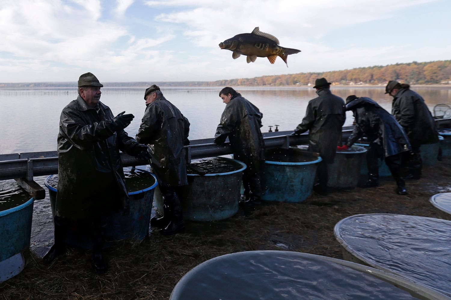 Carp fishing season begins in the Czech Republic