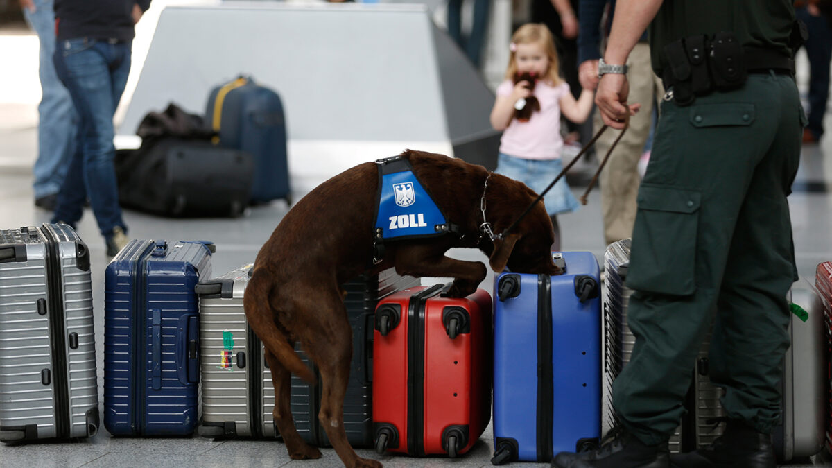 Detonan una bomba de la Segunda Guerra Mundial localizada en el aeropuerto de Dusseldorf