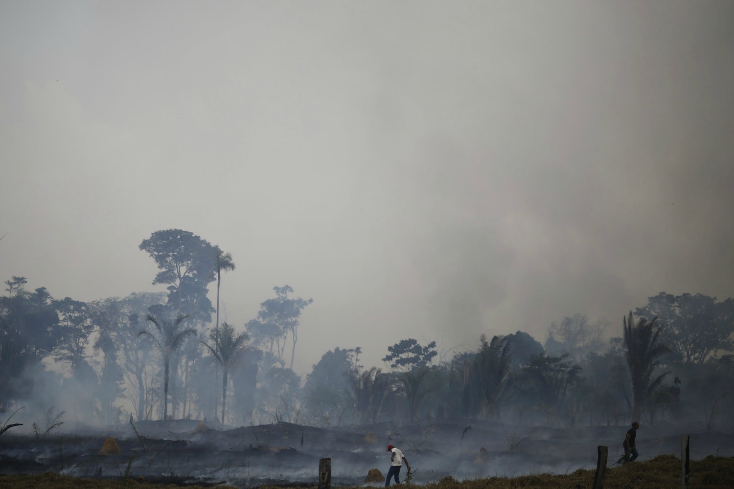 La deforestación ilegal devora el Amazonas