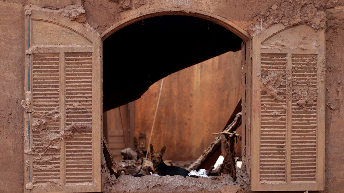 Brazil’s dam breach was caused by “mistake in operations and negligence in the monitoring”