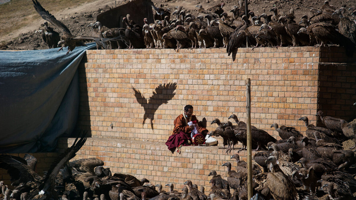 Tibetanos mantienen la tradición de dar sus muertos a los buitres