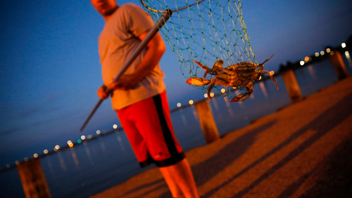 Health authorities warn against crab consumption in California