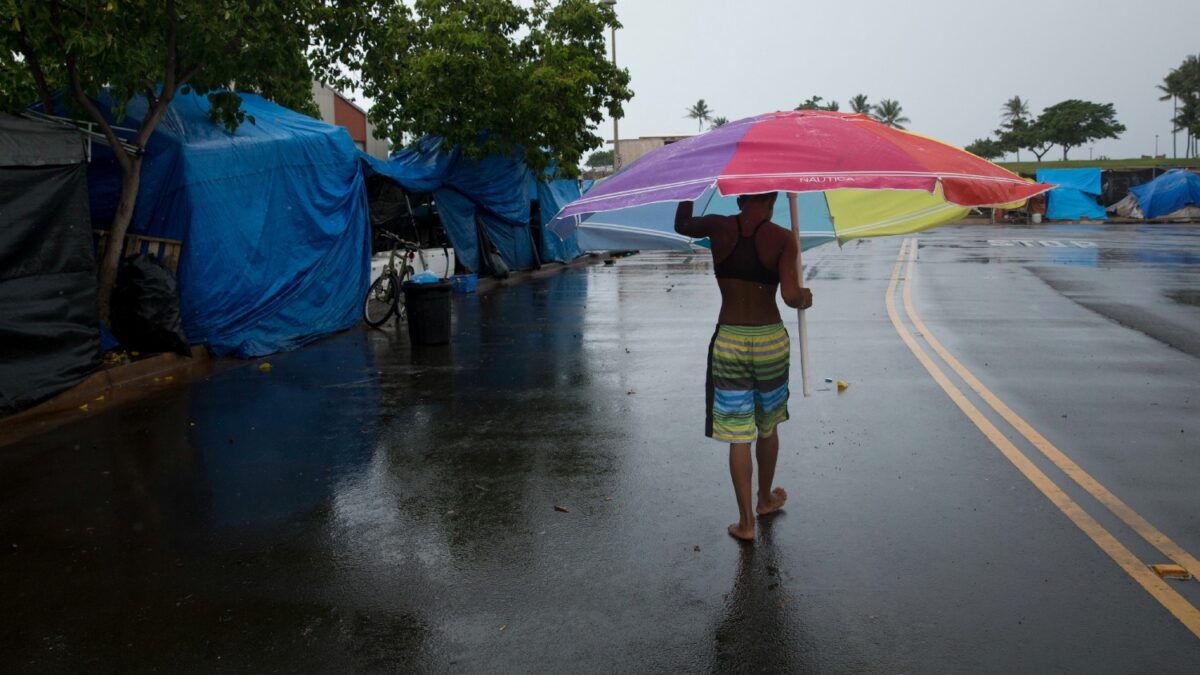 Un brote de dengue en Hawái infecta a 33 personas