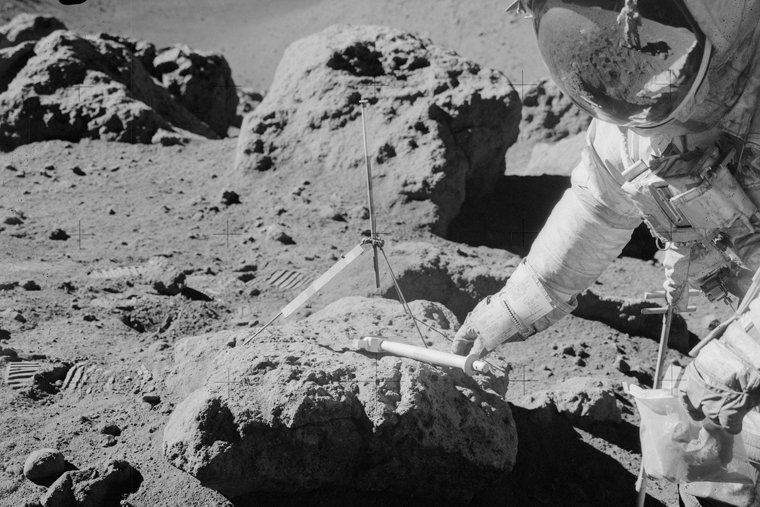 Astronautas plantan margaritas en el espacio