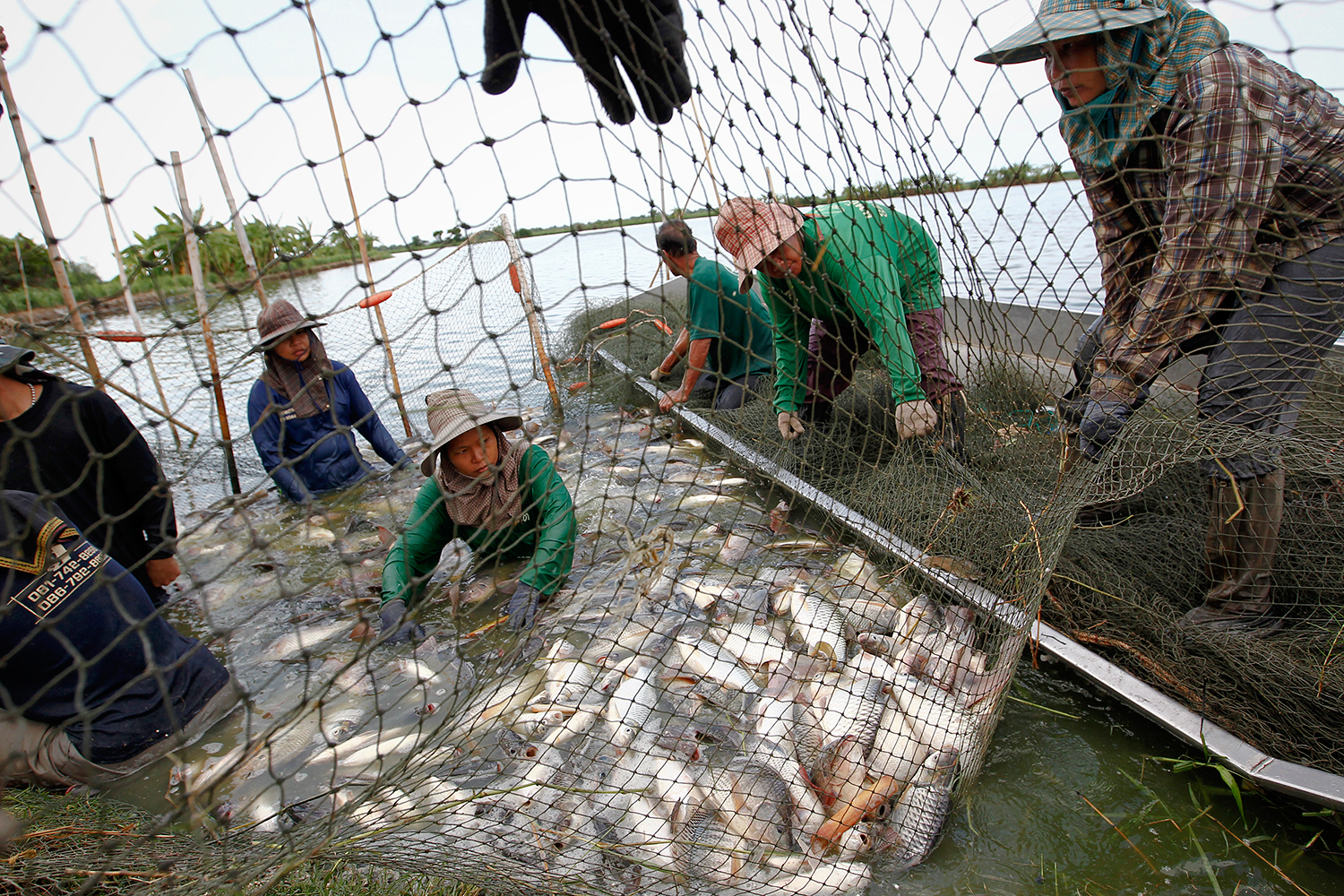 Nestlé admits to slavery and coercion among fishermen