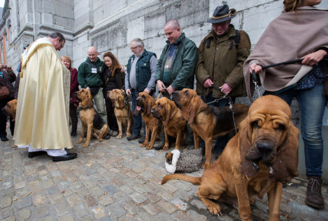 Cientos de perros sabuesos son bendecidos en el día de los cazadores, perros y caballos