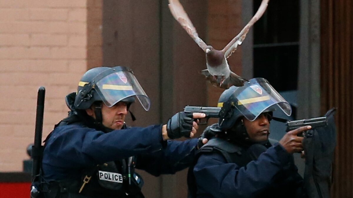 (In) Seguridad Ciudadana