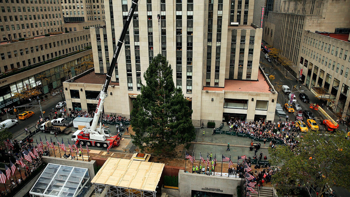 Rockefeller Center Christmas tree goes up in New York