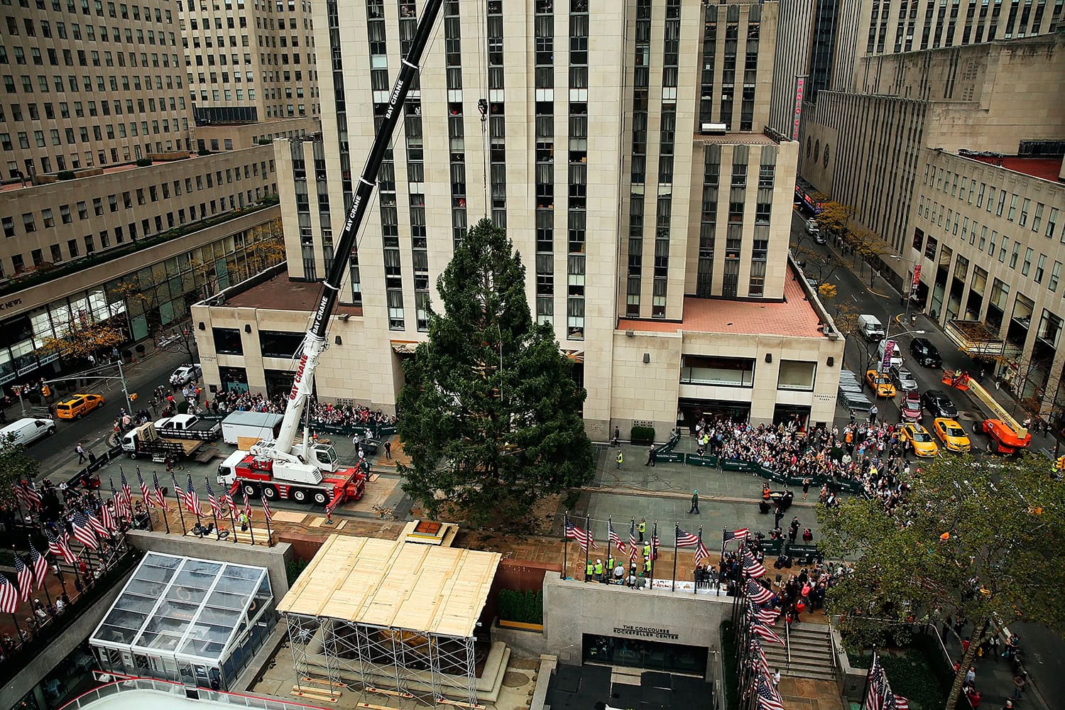 Rockefeller Center Christmas tree goes up in New York