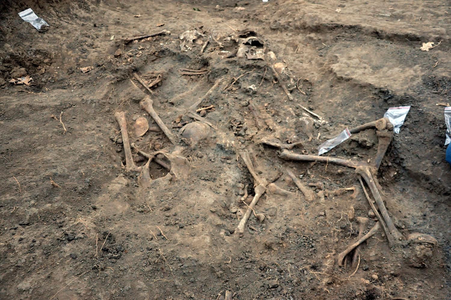 Looters excavate Holocaust victims’ mass grave in search for gold