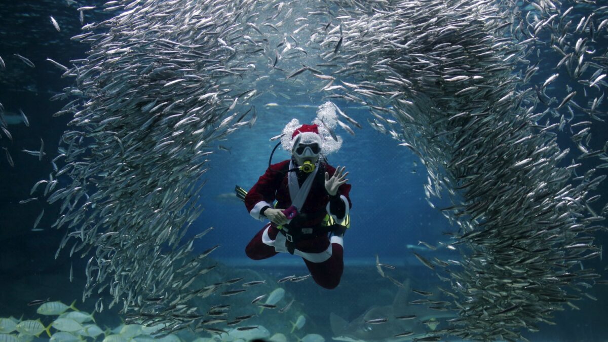 Santa Claus, también bajo el agua