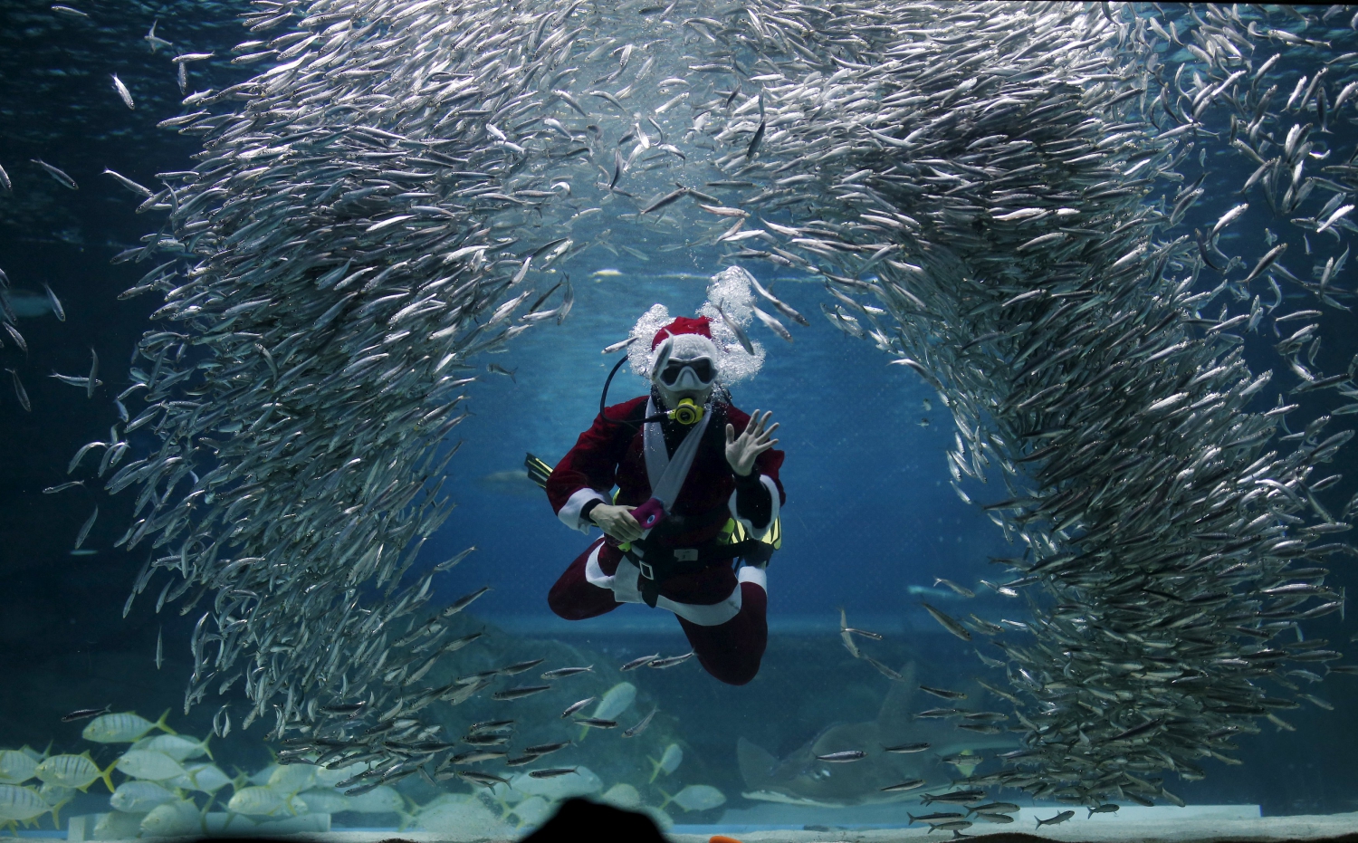 Santa Claus, también bajo el agua