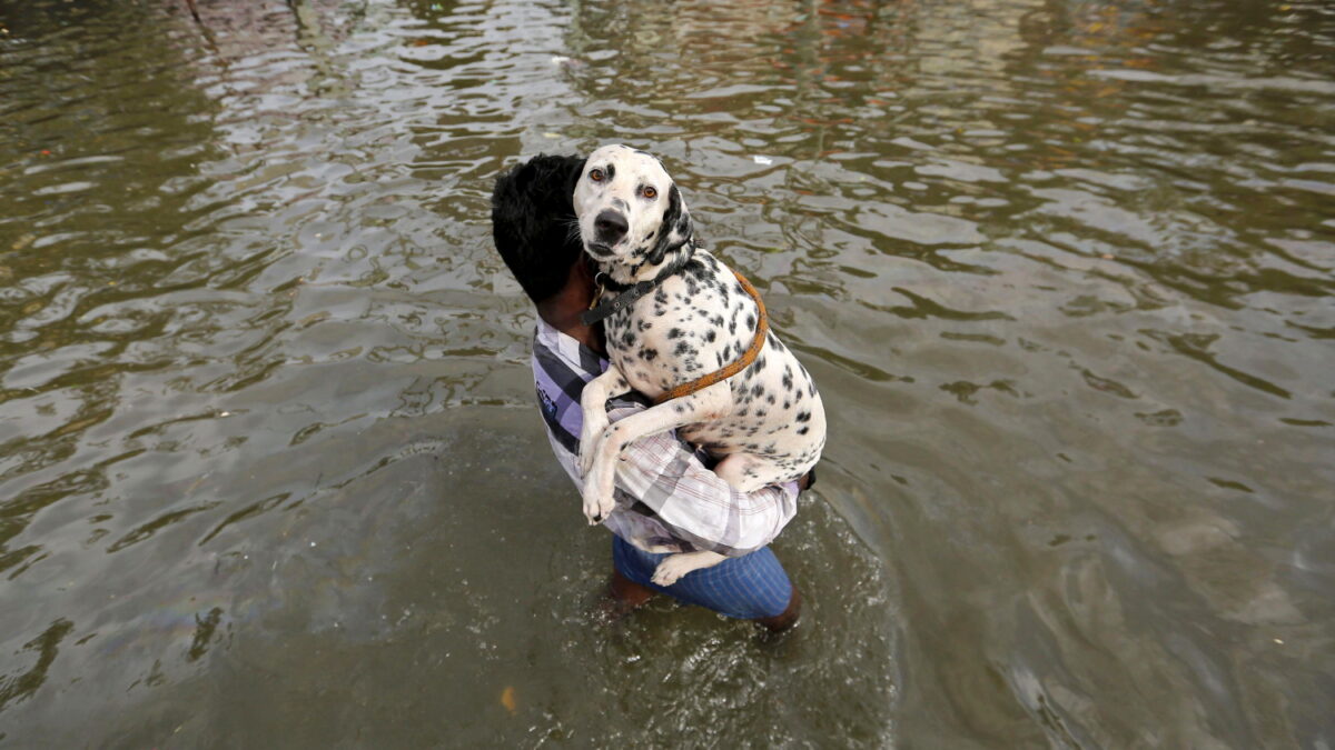 Las precipitaciones en la India sepultan a Chennai bajo el agua