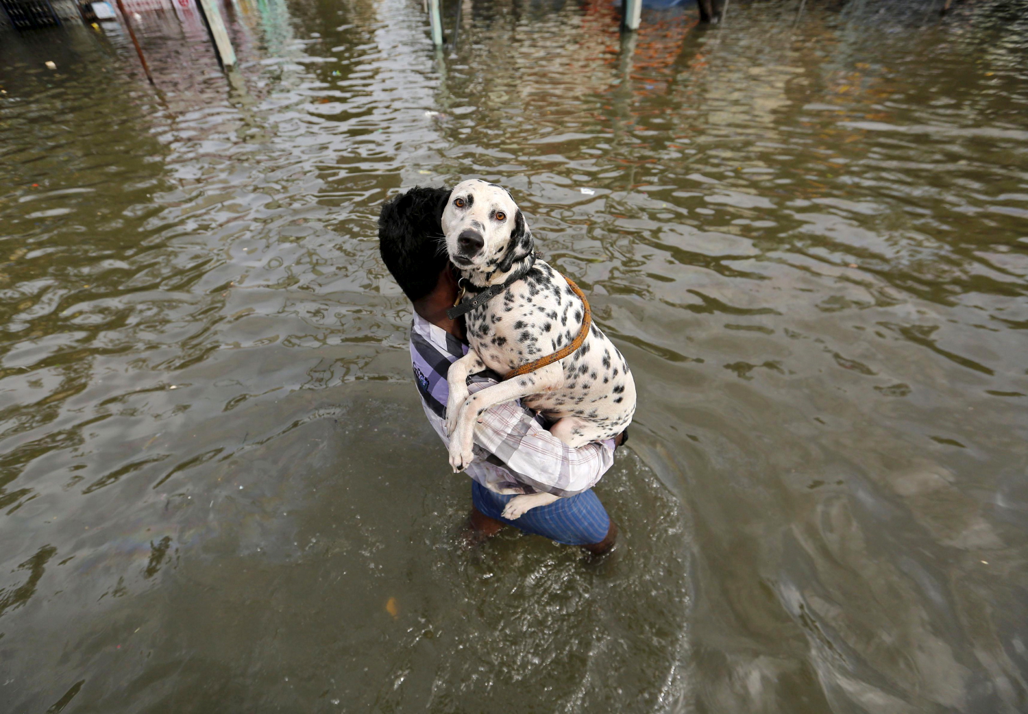 Las precipitaciones en la India sepultan a Chennai bajo el agua