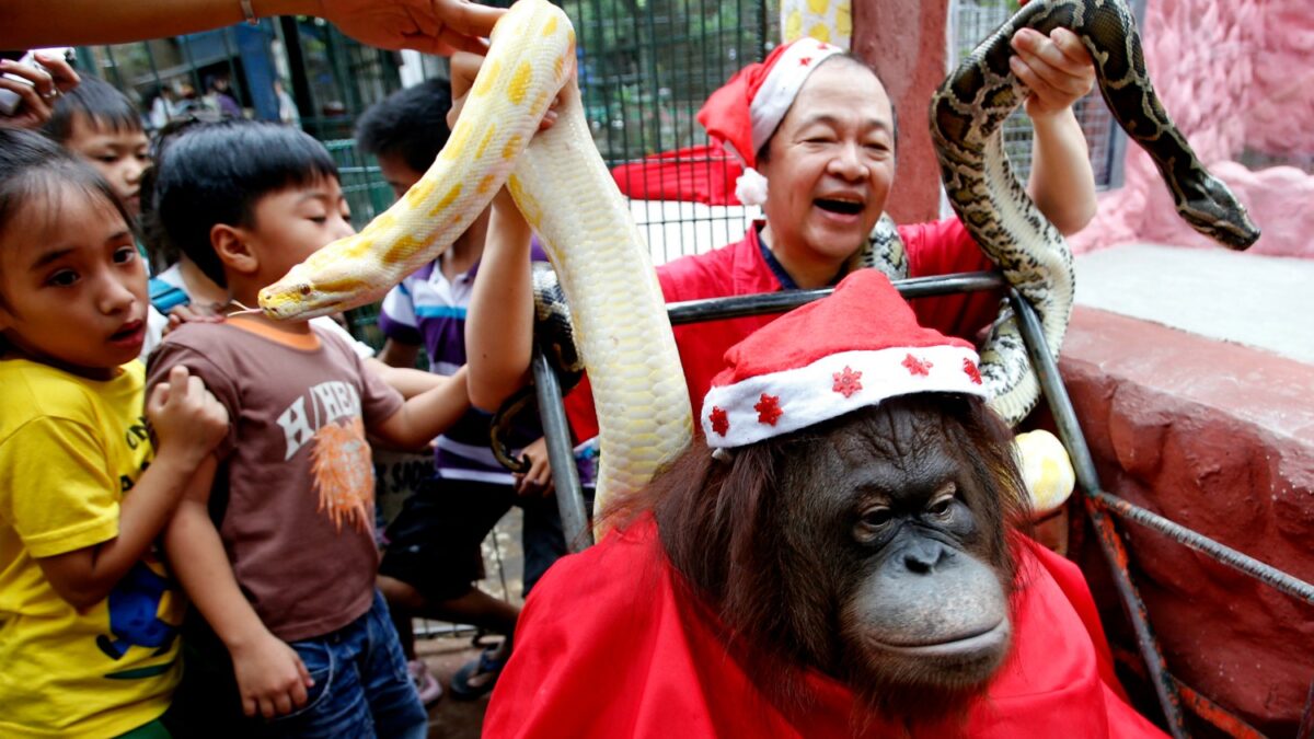 La Navidad más animal