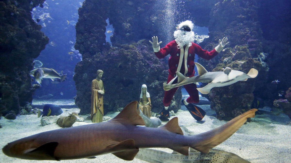 ¿Dónde se encuentra el único belén con tiburones?