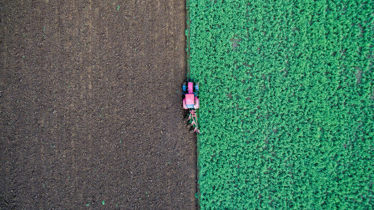 Las pérdidas llevan a los agricultores alemanes a apoyar a Putin