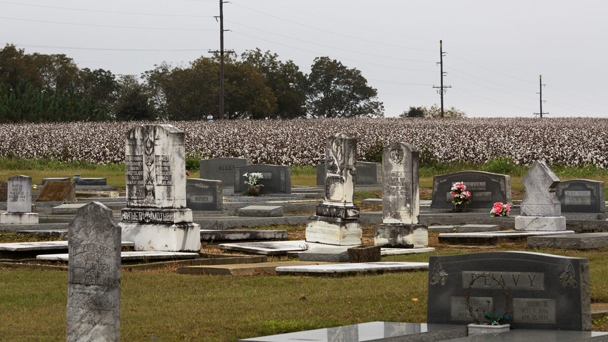 Una peligrosa infección en el cementerio