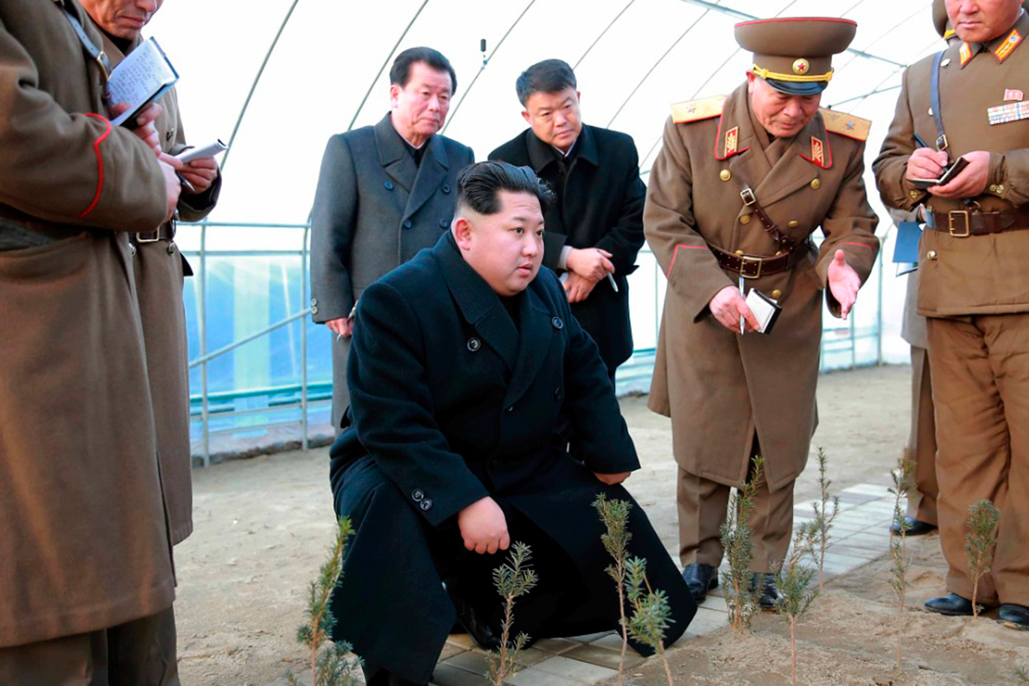 Corea del Norte lanza una «guerra contra la deforestación»