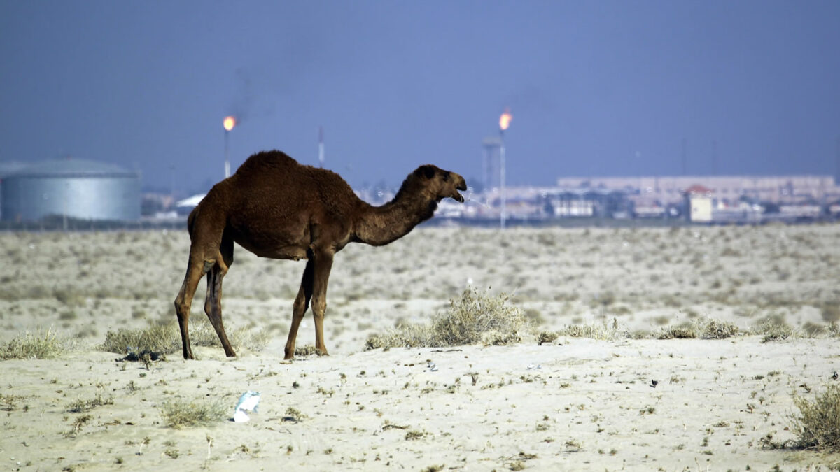 Un centenar de hombres armados secuestran a 26 qataríes en Irak