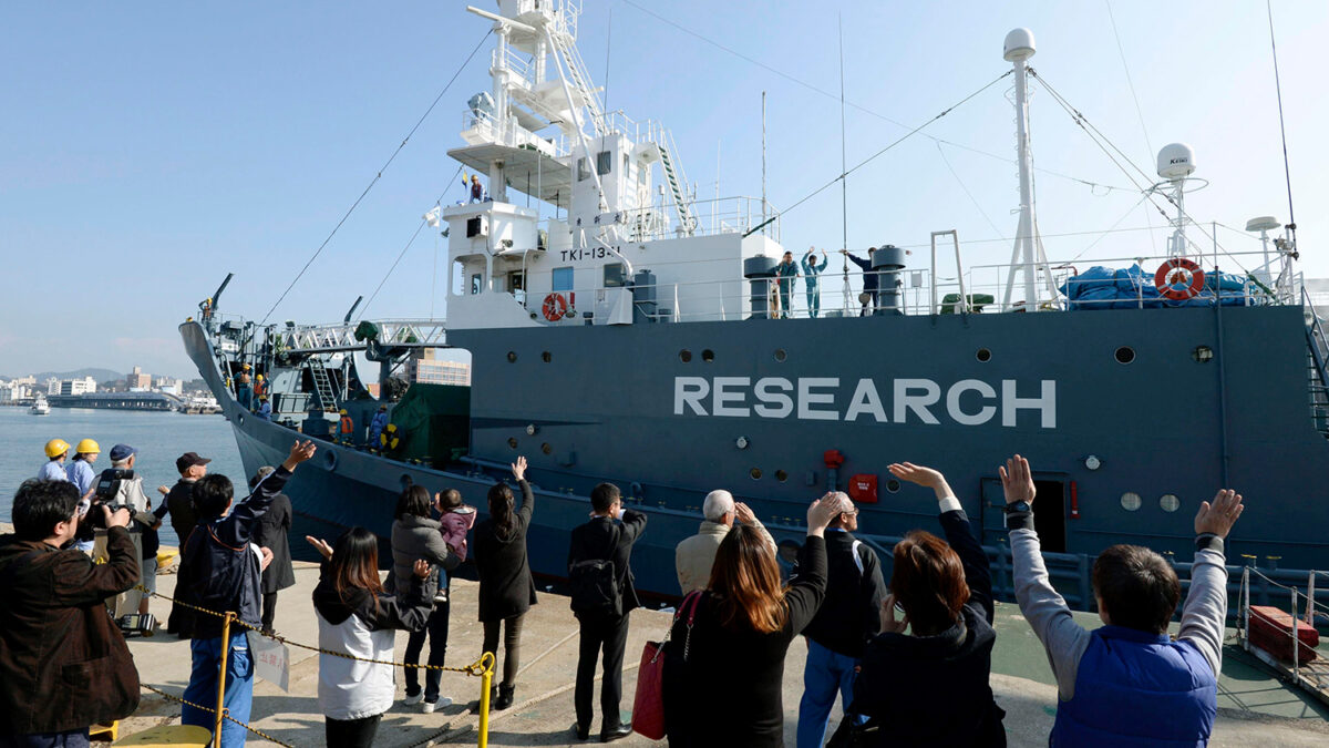 Barcos balleneros japoneses salen de cacería a la Antártida