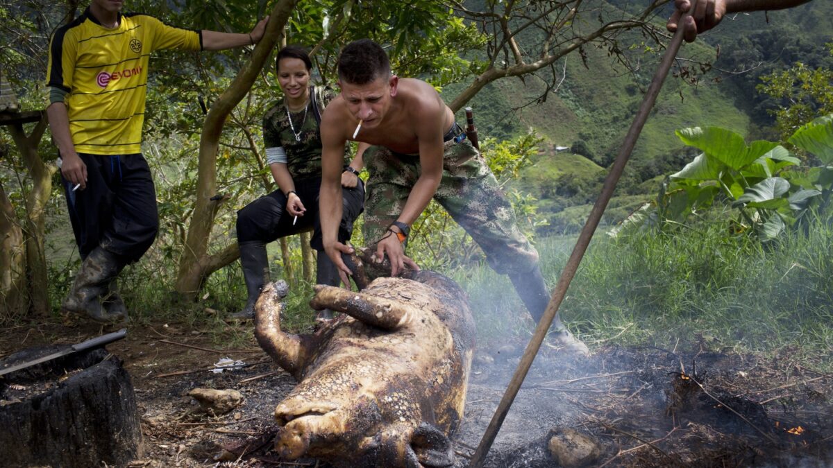 Así se preparan los guerrilleros de las FARC para la paz