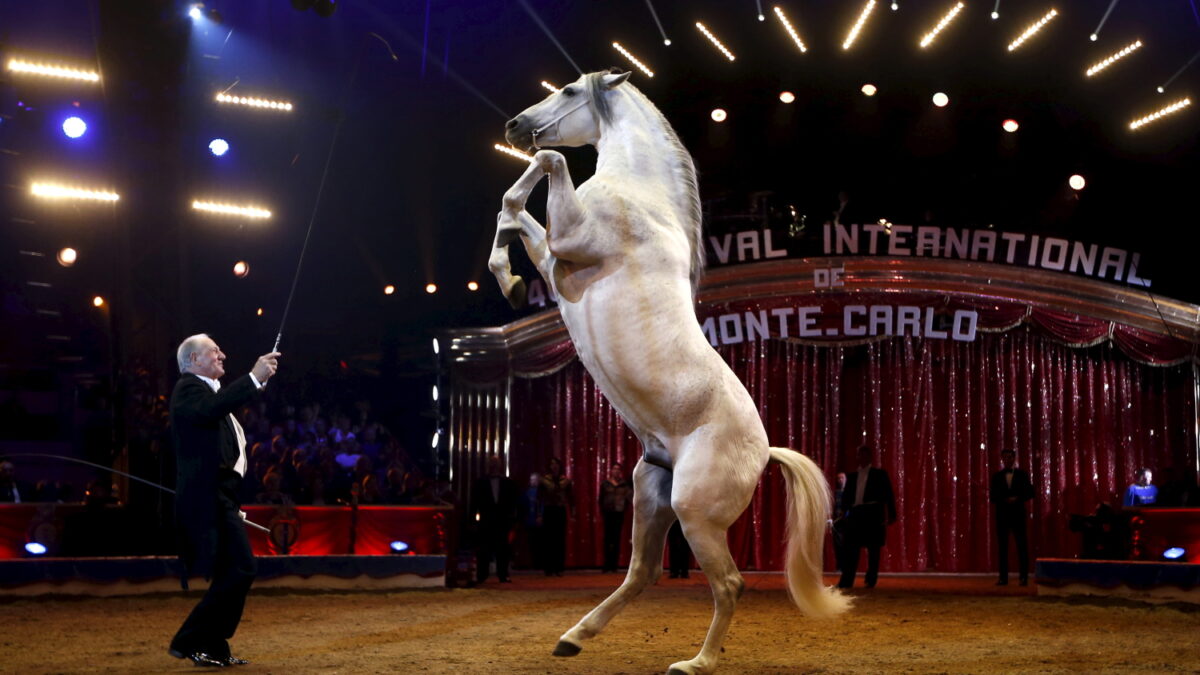 Un festival que dignifica el trabajo en el circo