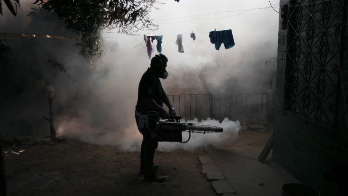 El Gobierno de El Salvador pide a las mujeres que eviten los embarazos por el virus Zika