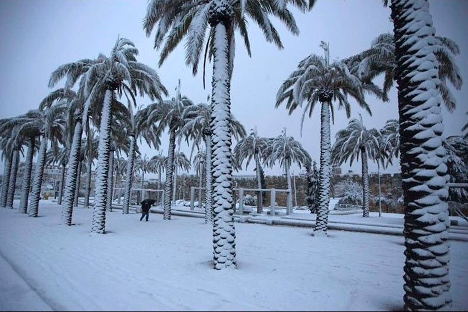 Nieva en Arabia Saudí por primera vez en 85 años