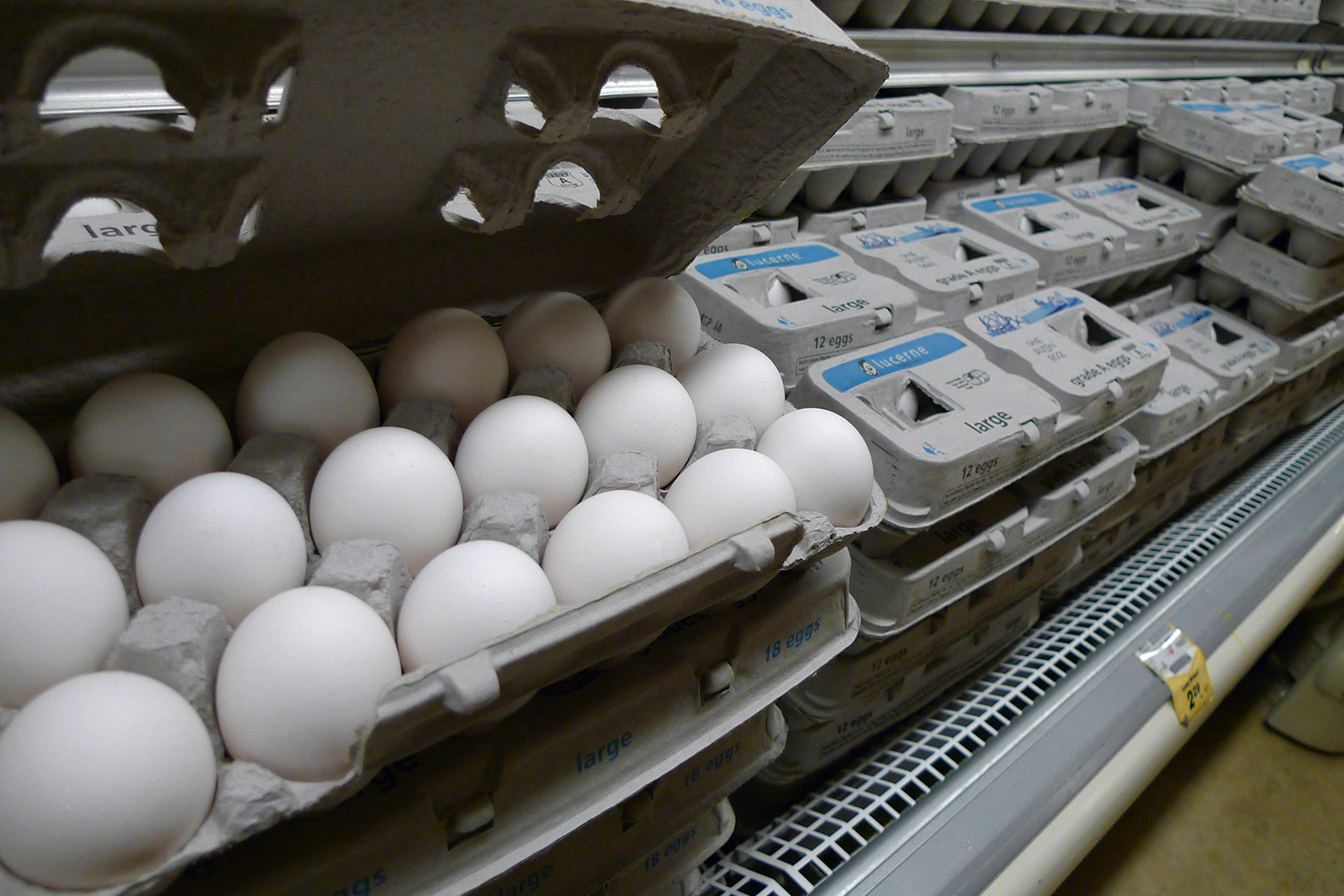 Israel prohíbe la importación de huevos de España por sospechas de salmonella