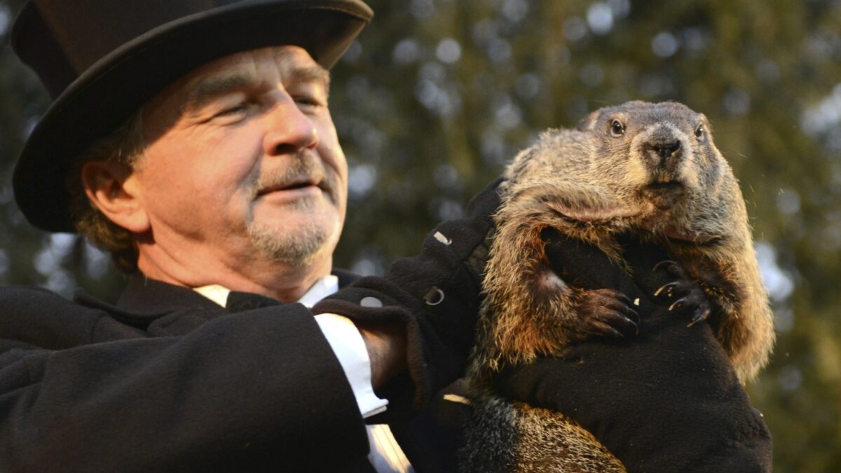 La marmota Phil pronostica el adelanto de la primavera