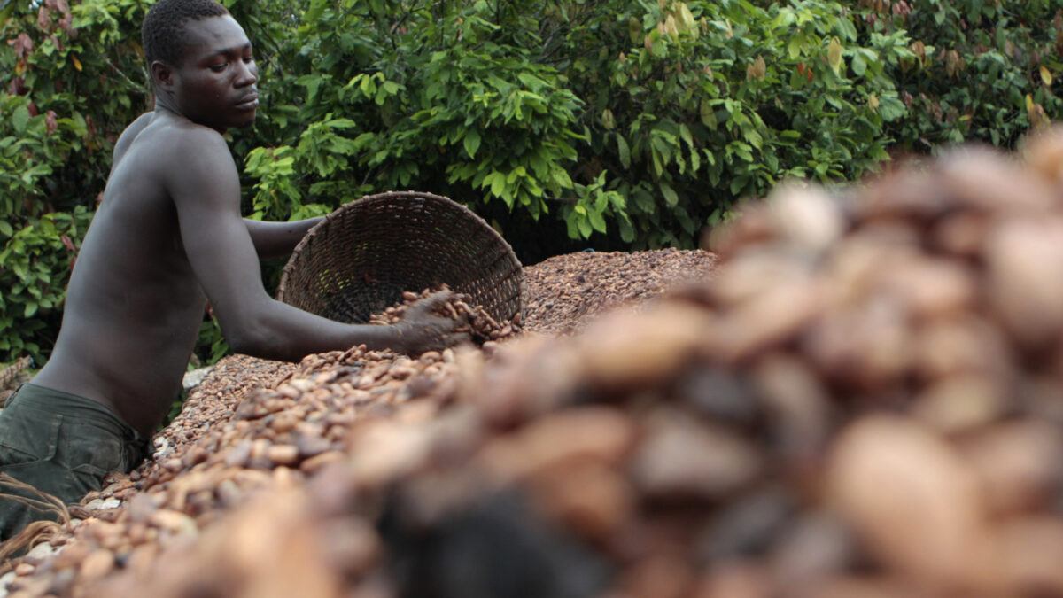 Nestlé admite esclavitud en Tailandia, pero intenta entorpecer otra demanda que le acusa de esclavitud infantil en Costa de Marfil