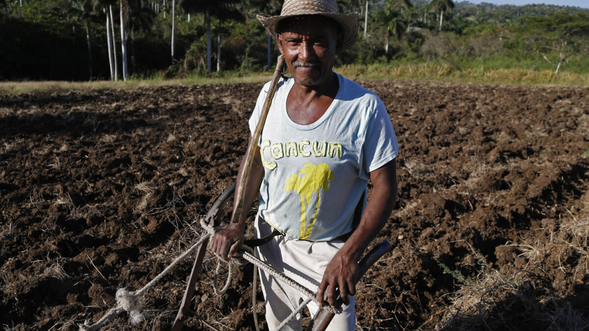 Estados Unidos aprueba la construcción de la primera fábrica en Cuba desde la revolución